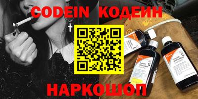 СК Кингисепп