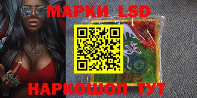 СК Кингисепп