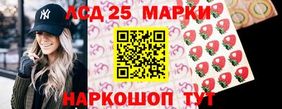 СК Кингисепп