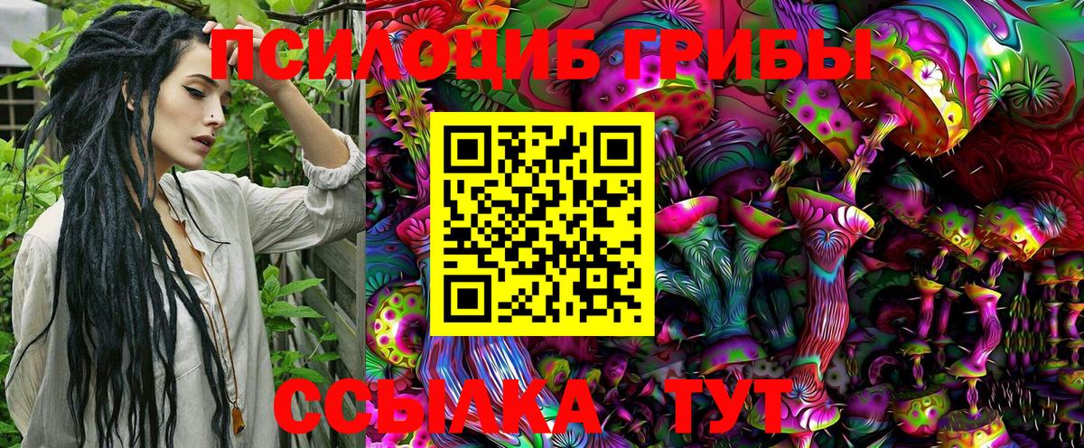 Псилоцибиновые грибы Psilocybine cubensis  Вход с VPN  Галлюциногенные грибы мухоморы  Кубинка 