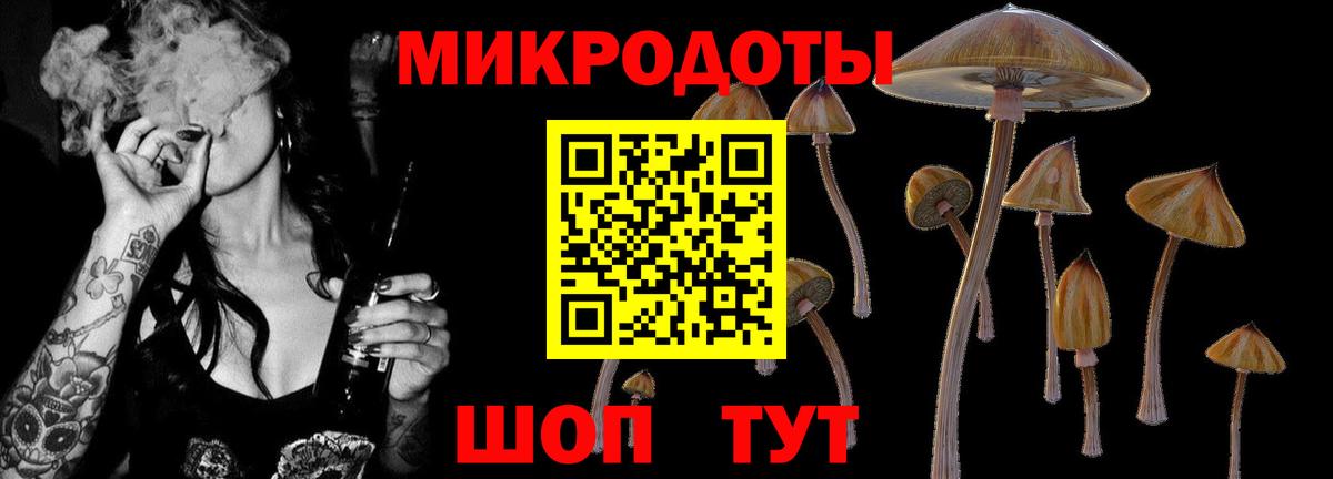 Псилоцибиновые грибы Magic Shrooms Кубинка